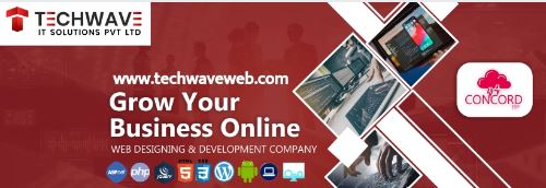 Techwave IT Solutions Pvt Ltd | Web Development Company in Indore | Software Development Company | South Tukoganj | Indore