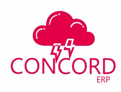 Concord ERP Management Software | Software Development | Regal Square | Indore